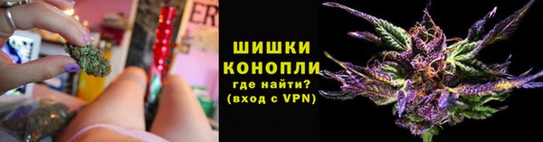 PSILOCYBIN Горняк