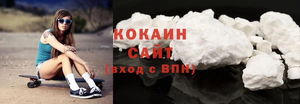 PSILOCYBIN Горняк