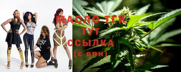 PSILOCYBIN Горняк